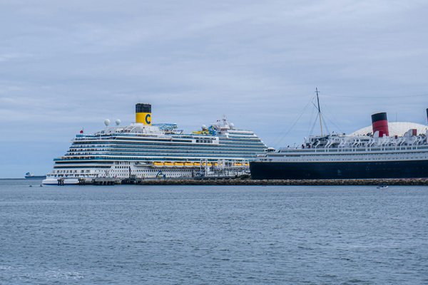 Quels sont les meilleurs spots pour observer les dauphins dans la baie de Monterey, Californie?